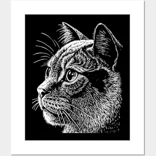 British shorthair cat Posters and Art